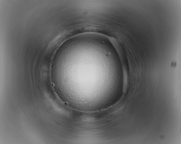 X0000114210648200910091325