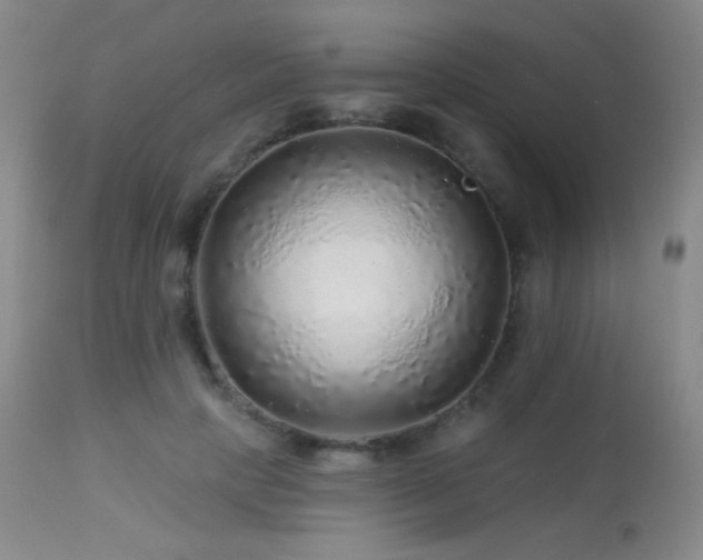 X0000114210649200910091325