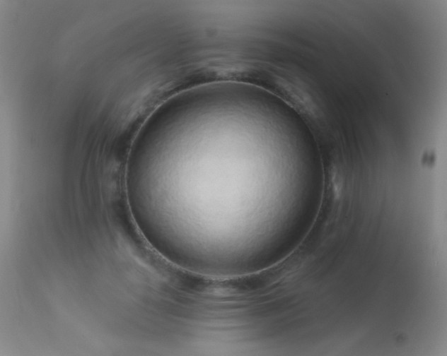 X0000114210650200910091325