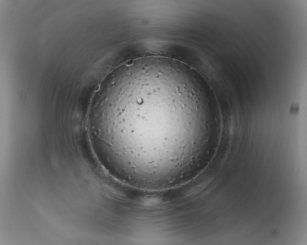 X0000114210651200910091325