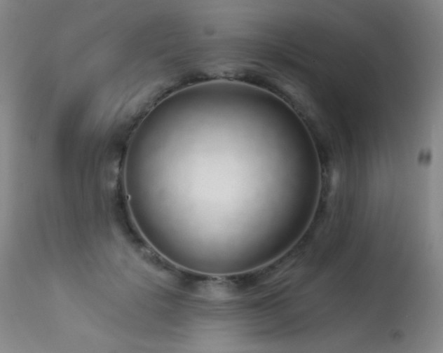 X0000114210652200910091325
