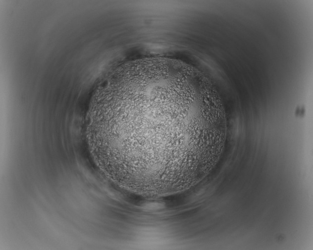 X0000114210653200910091325
