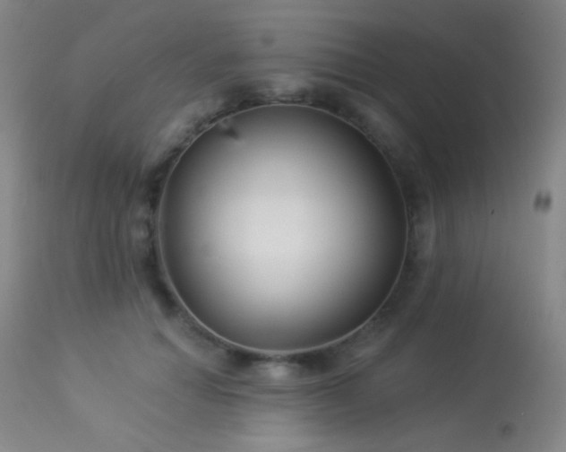 X0000114210654200910091325