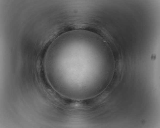 X0000114210655200910091325