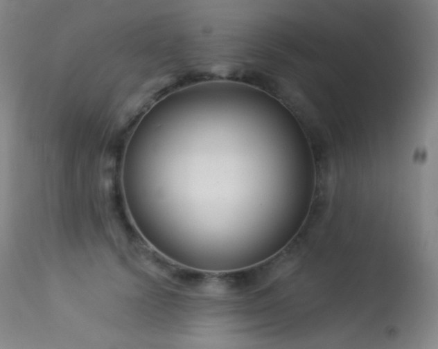 X0000114210656200910091325