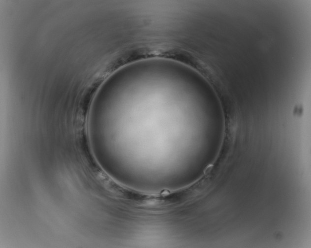 X0000114210657200910091325