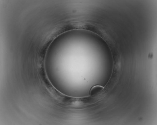 X0000114210658200910091325