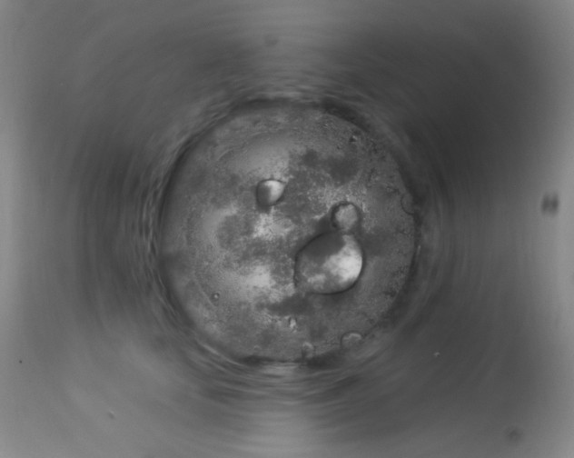 X0000114210659200910091325
