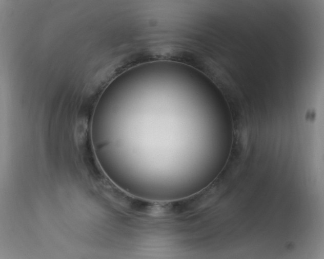 X0000114210660200910091325