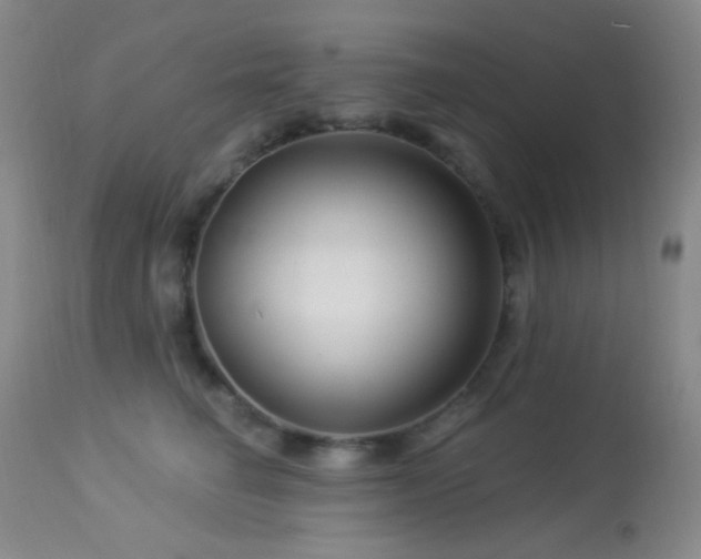 X0000114210662200910091325