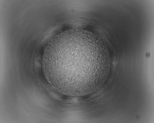X0000114210663200910091325