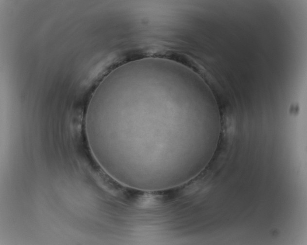 X0000114210664200910091325