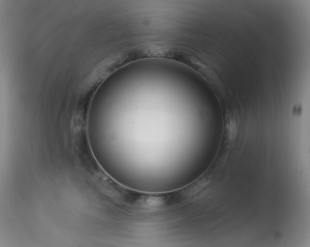 X0000114210665200910091325