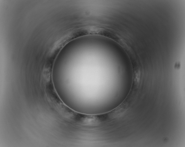 X0000114210666200910091325