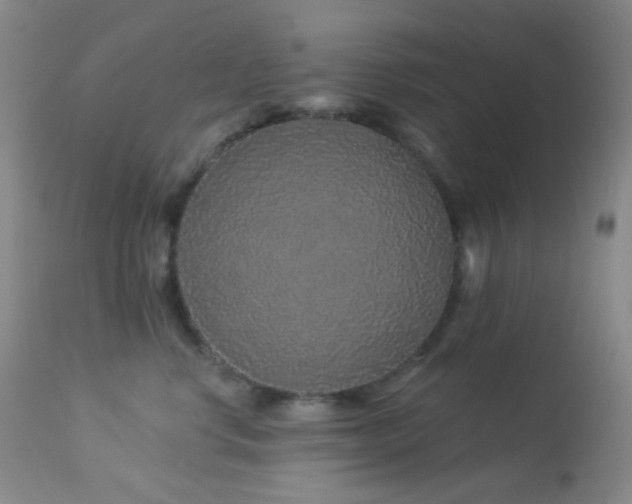 X0000114210668200910091325