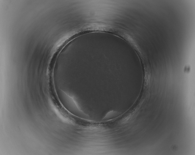 X0000114210674200910091324