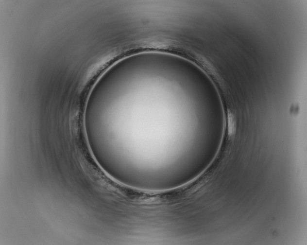 X0000114210675200910091324