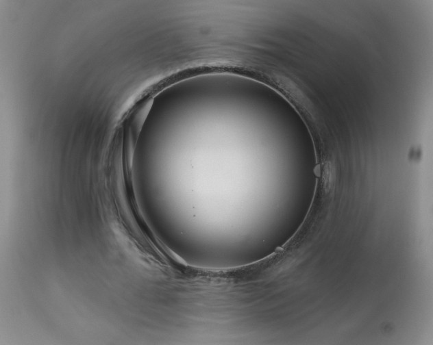 X0000114210676200910091324