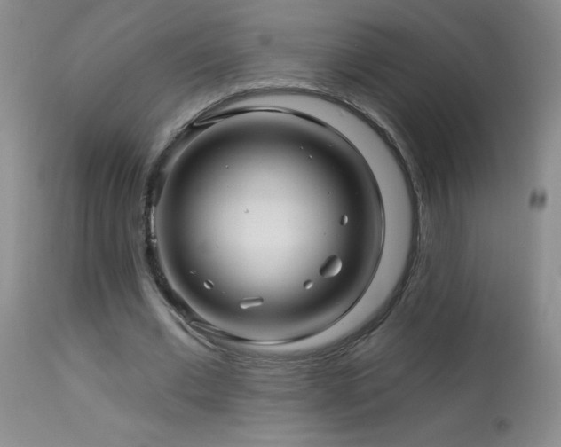 X0000114210677200910091324