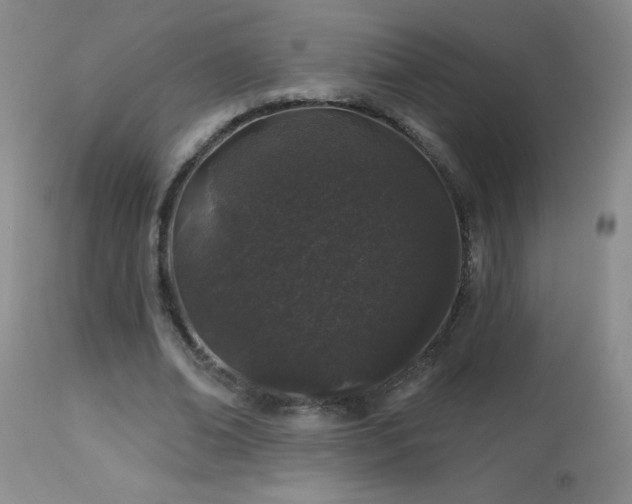 X0000114210678200910091324