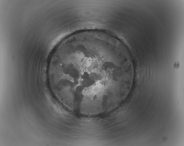 X0000114210679200910091324