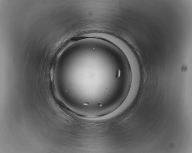 X0000114210681200910091324