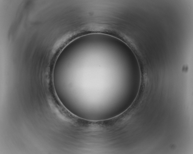 X0000114210682200910091324