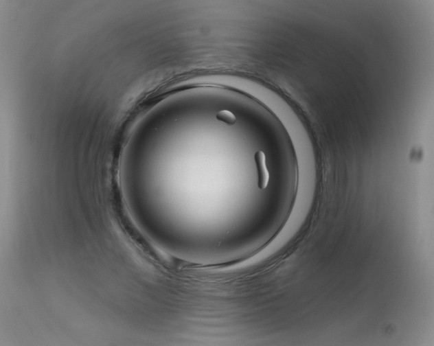 X0000114210685200910091324