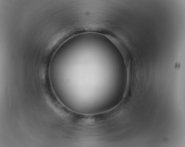 X0000114210687200910091324