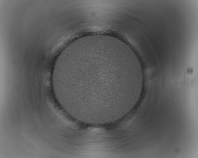 X0000114210689200910091324