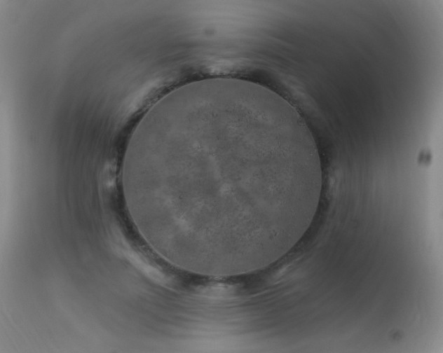 X0000114210691200910091324