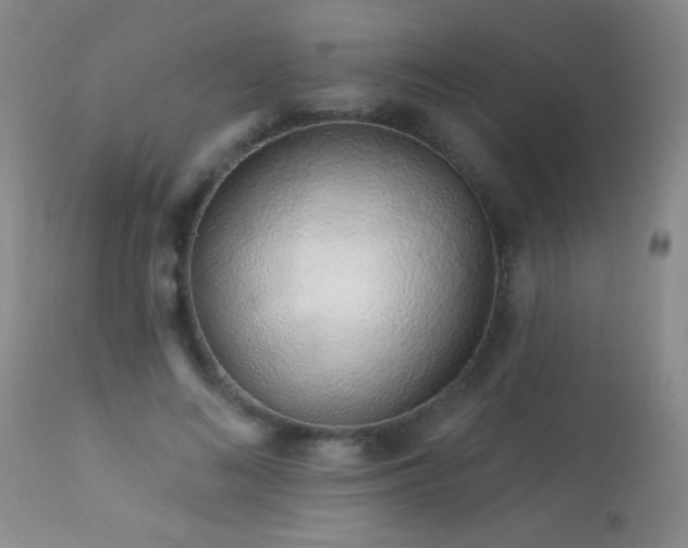 X0000114210692200910091324