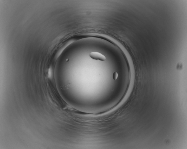 X0000114210693200910091324