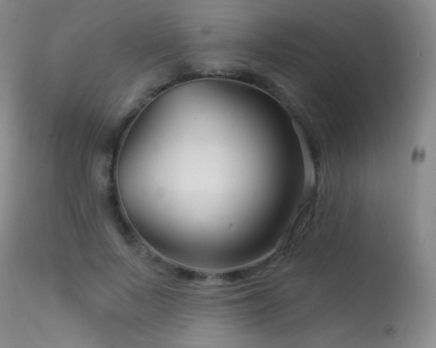 X0000114210695200910091324