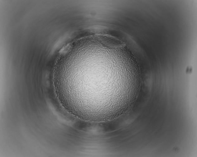 X0000114210696200910091324