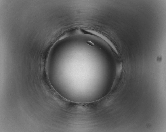 X0000114210697200910091324