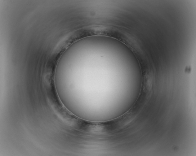X0000114210698200910091324