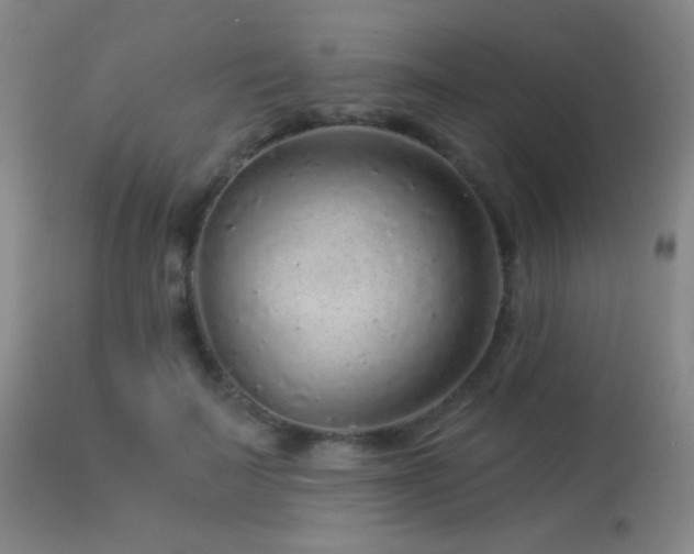 X0000114210699200910091324