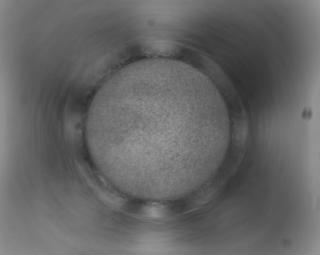 X0000114210701200910091324