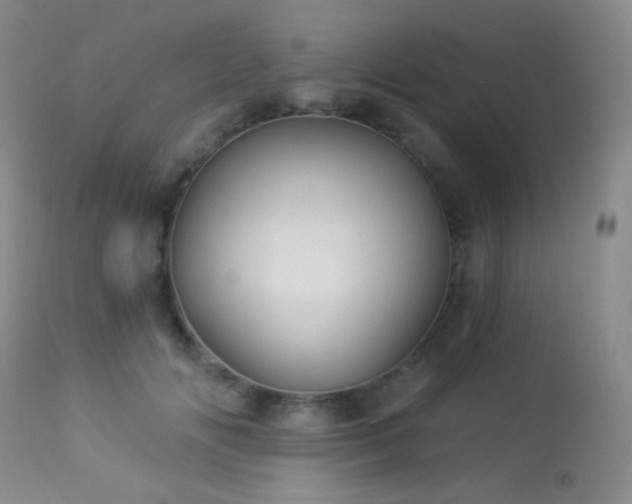 X0000114210702200910091324