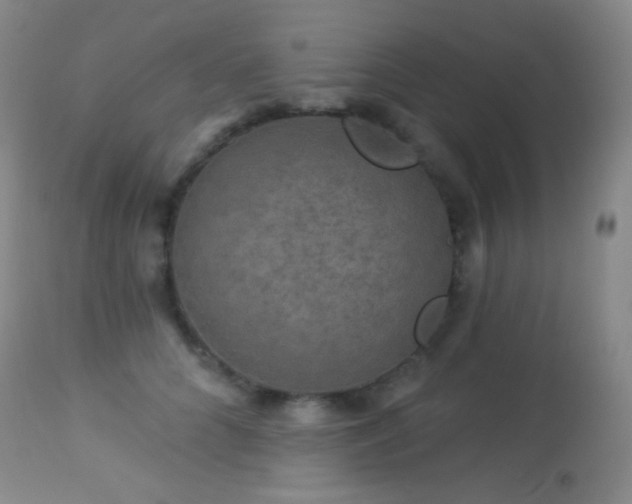 X0000114210704200910091324