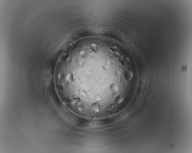 X0000114210707200910091324