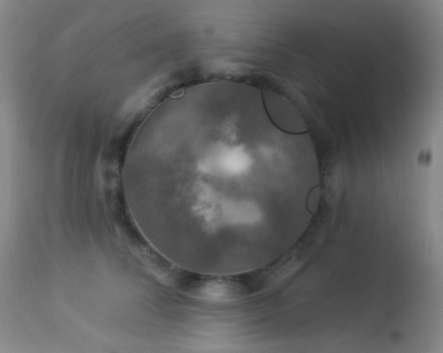 X0000114210708200910091324