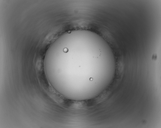 X0000114210709200910091324