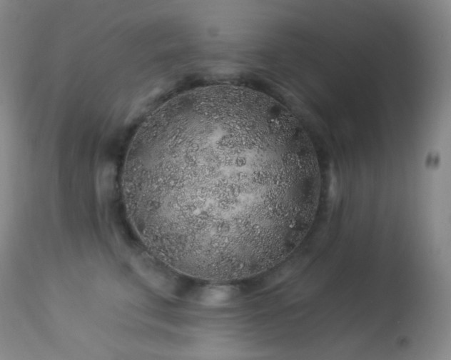 X0000114210711200910091324