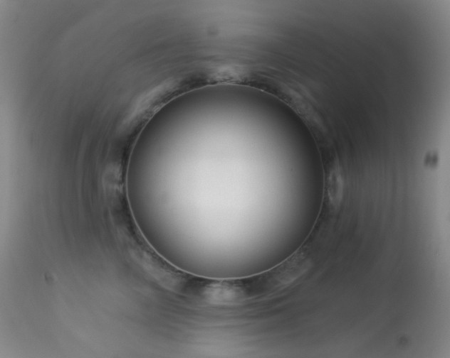 X0000114210714200910091324