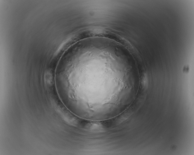X0000114210715200910091324