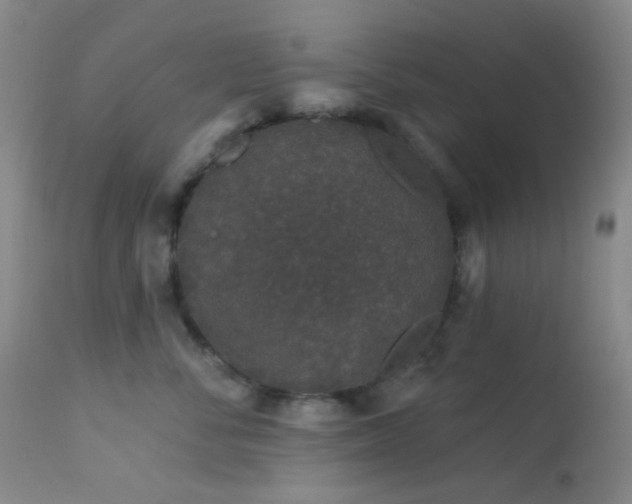 X0000114210716200910091324