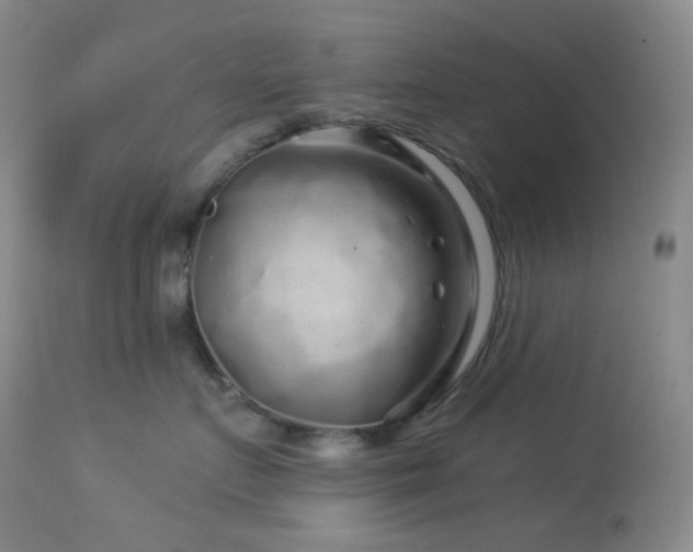 X0000114210719200910091324
