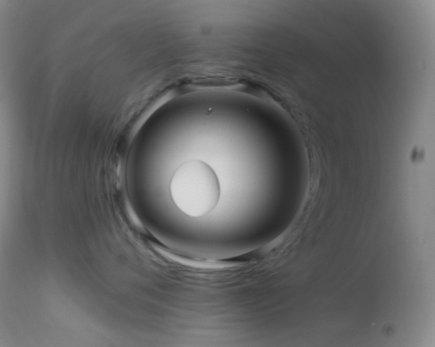 X0000114210720200910091324
